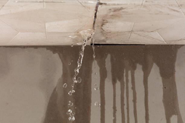 Professional Structural Drying technician working in Chickasaw, AL
